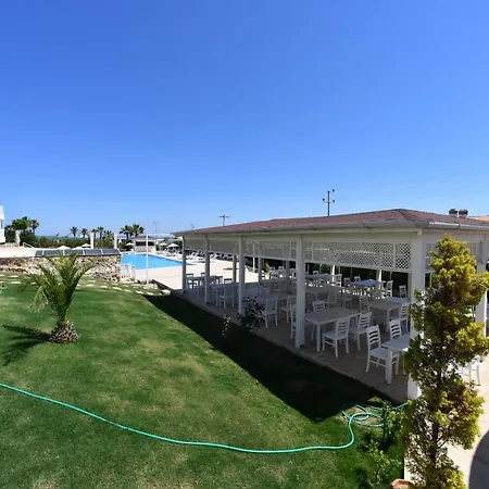 Aria Cesme *
